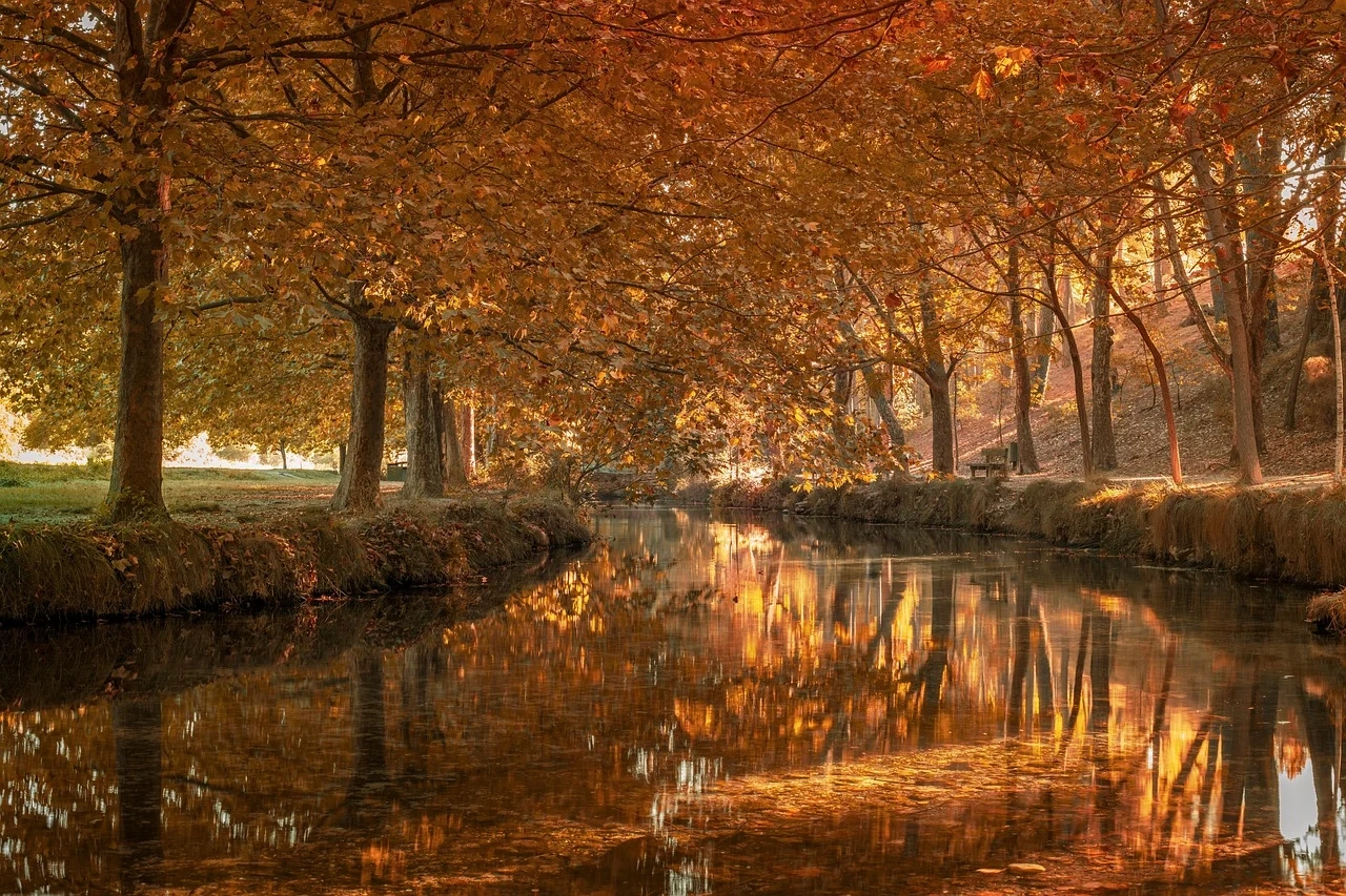 As Melhores Ferramentas de Automação de Marketing para Nutrir Leads e Aumentar Vendas